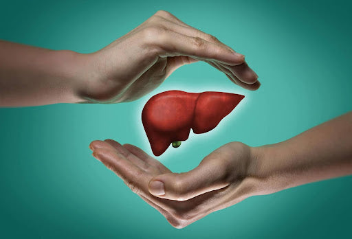 Protecting Your Liver: The Silent Guardian of Our Body